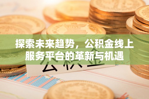 云林探索未来趋势，公积金线上服务平台的革新与机遇