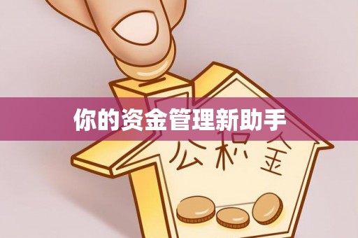 云林你的资金管理新助手