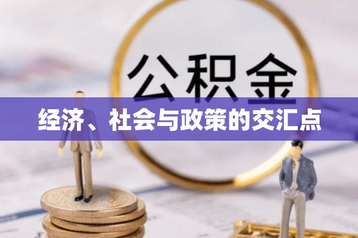 云林经济、社会与政策的交汇点