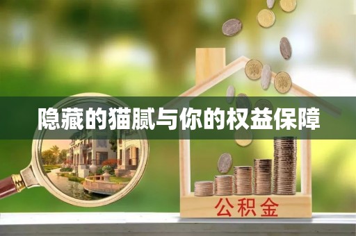 云林隐藏的猫腻与你的权益保障