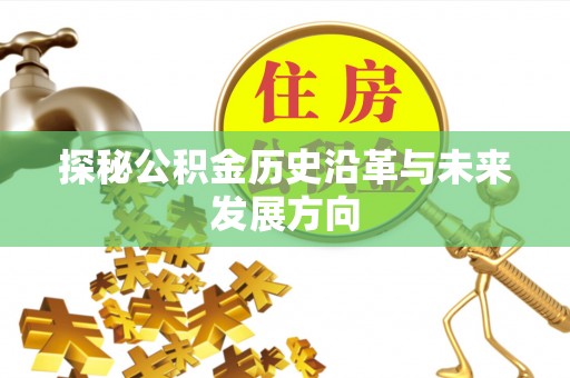 云林探秘公积金历史沿革与未来发展方向