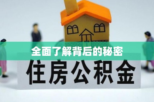 云林全面了解背后的秘密