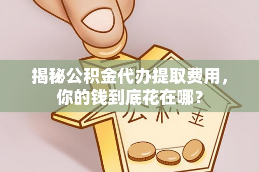 云林揭秘公积金代办提取费用，你的钱到底花在哪？