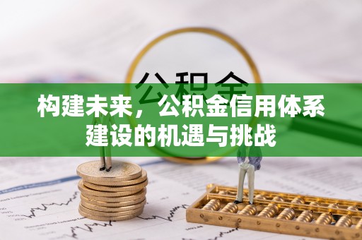 云林构建未来，公积金信用体系建设的机遇与挑战