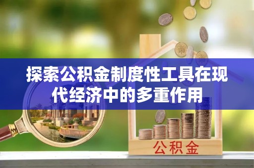 云林探索公积金制度性工具在现代经济中的多重作用