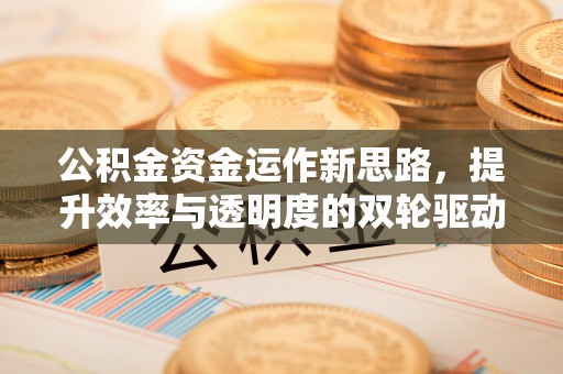 云林公积金资金运作新思路，提升效率与透明度的双轮驱动