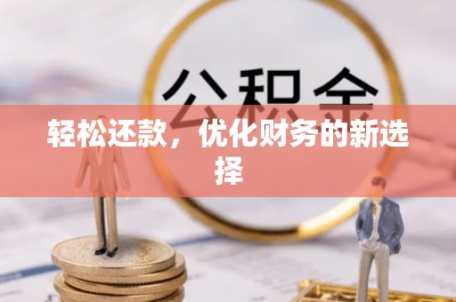 云林轻松还款，优化财务的新选择