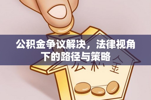 云林公积金争议解决，法律视角下的路径与策略
