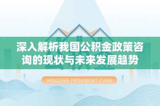 云林深入解析我国公积金政策咨询的现状与未来发展趋势