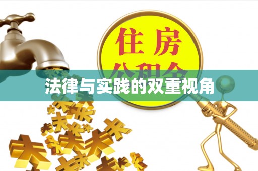 云林法律与实践的双重视角