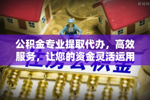 云林公积金专业提取代办，高效服务，让您的资金灵活运用