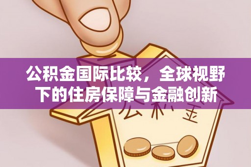 云林公积金国际比较，全球视野下的住房保障与金融创新