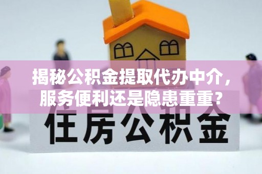 云林揭秘公积金提取代办中介，服务便利还是隐患重重？
