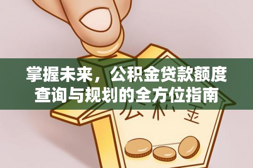 云林掌握未来，公积金贷款额度查询与规划的全方位指南