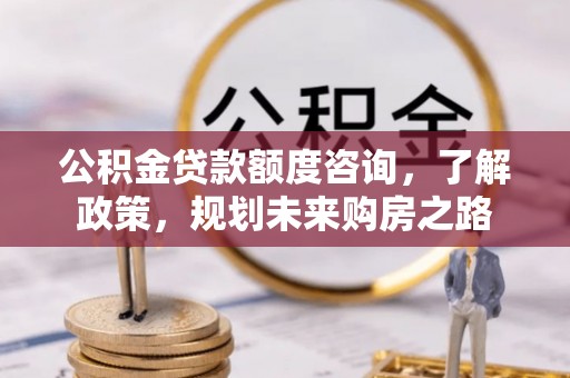 云林公积金贷款额度咨询，了解政策，规划未来购房之路