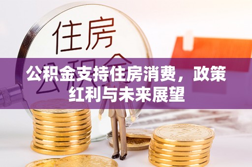 云林公积金支持住房消费，政策红利与未来展望
