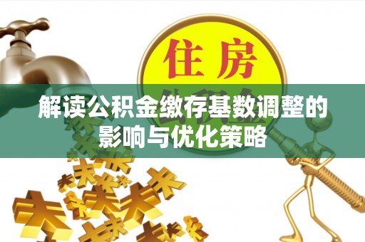 云林解读公积金缴存基数调整的影响与优化策略