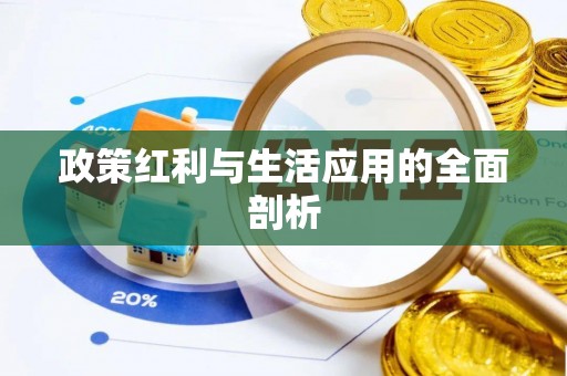 云林政策红利与生活应用的全面剖析