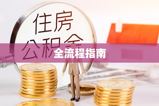 云林全流程指南