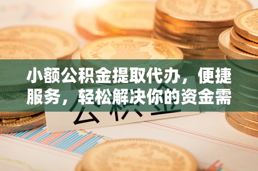 云林小额公积金提取代办，便捷服务，轻松解决你的资金需求