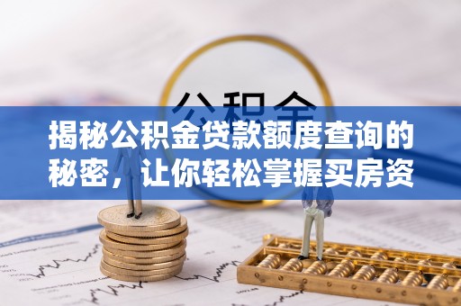 云林揭秘公积金贷款额度查询的秘密，让你轻松掌握买房资金规划