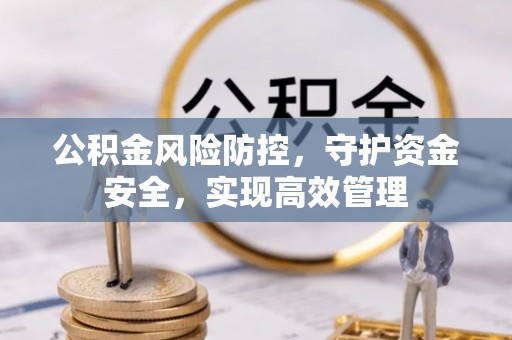 云林公积金风险防控，守护资金安全，实现高效管理