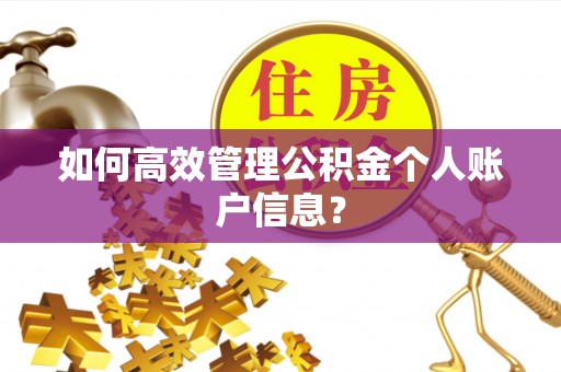 云林如何高效管理公积金个人账户信息？