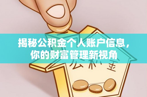 云林揭秘公积金个人账户信息，你的财富管理新视角