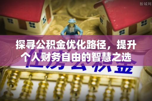 云林探寻公积金优化路径，提升个人财务自由的智慧之选