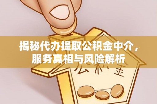 云林揭秘代办提取公积金中介，服务真相与风险解析