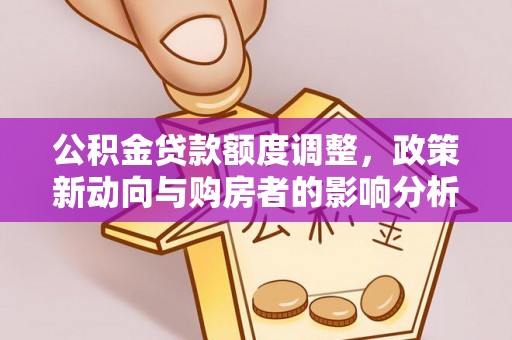 云林公积金贷款额度调整，政策新动向与购房者的影响分析