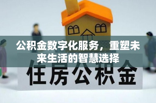 云林公积金数字化服务，重塑未来生活的智慧选择