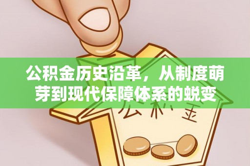 云林公积金历史沿革，从制度萌芽到现代保障体系的蜕变