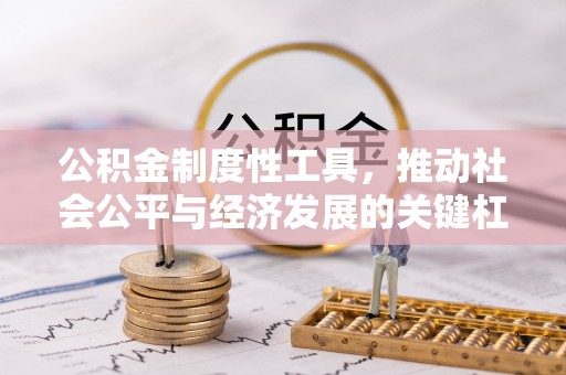 云林公积金制度性工具，推动社会公平与经济发展的关键杠杆