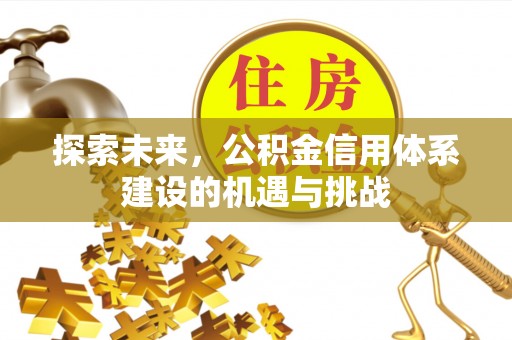 云林探索未来，公积金信用体系建设的机遇与挑战