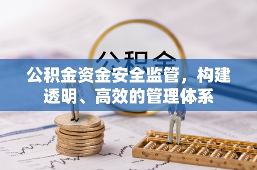 云林公积金资金安全监管，构建透明、高效的管理体系