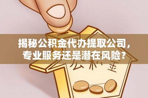 云林揭秘公积金代办提取公司，专业服务还是潜在风险？