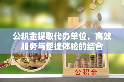 云林公积金提取代办单位，高效服务与便捷体验的结合