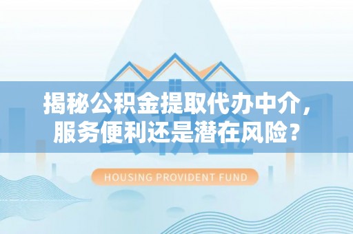 云林揭秘公积金提取代办中介，服务便利还是潜在风险？