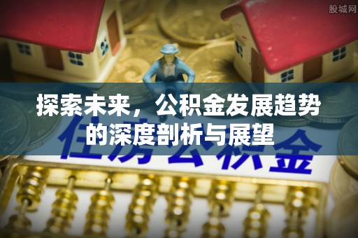 云林探索未来，公积金发展趋势的深度剖析与展望