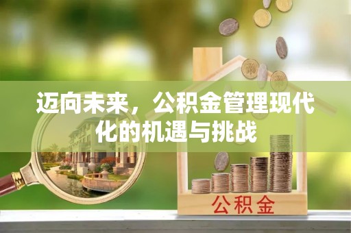 云林迈向未来，公积金管理现代化的机遇与挑战