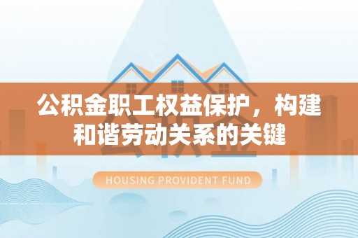 云林公积金职工权益保护，构建和谐劳动关系的关键