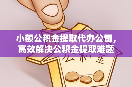 云林小额公积金提取代办公司，高效解决公积金提取难题