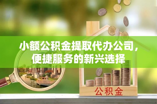 云林小额公积金提取代办公司，便捷服务的新兴选择