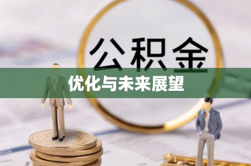 云林优化与未来展望