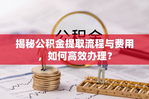 云林揭秘公积金提取流程与费用，如何高效办理？