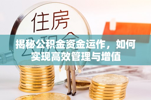 云林揭秘公积金资金运作，如何实现高效管理与增值