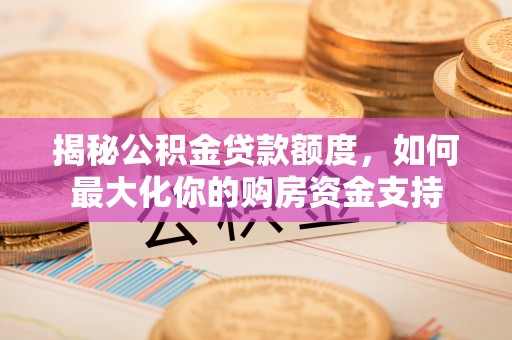云林揭秘公积金贷款额度，如何最大化你的购房资金支持