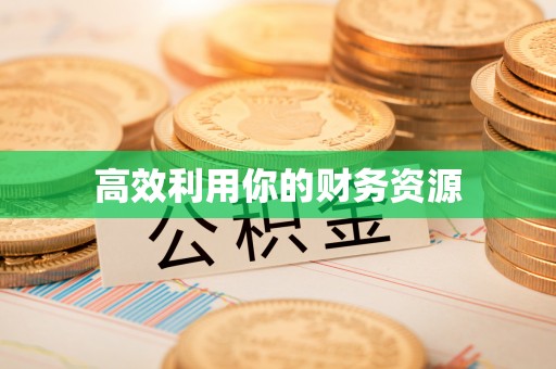 云林高效利用你的财务资源