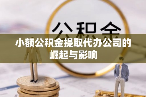 云林小额公积金提取代办公司的崛起与影响
